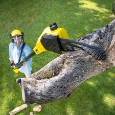 Lawn Pest Prevention in New York Mills, NY
